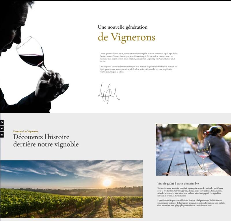 Vignoble2