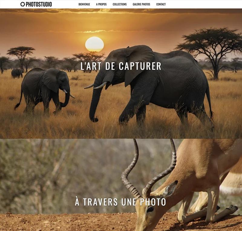 Photographes Photographes